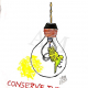 ConSerVe The Nature